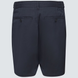 Шорти Oakley In The Moment Short 0193517105273 фото 8