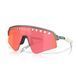 Сонцезахисні окуляри Oakley Sutro Lite Sweep Matte Silver/Blue Colorshift Prizm Trail Torch 0888392663214 фото 1