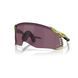 Сонцезахисні окуляри Oakley Velo&nbsp;KATO Transparent Fern Prizm Road Black (Tour De France) 0888392685681 фото 1