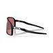 Сонцезахисні окуляри Oakley Sutro (On The Green Collection) Matte Black Prizm Dark Golf 0888392687814 фото 4