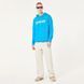 Кофта Oakley B1B Po Hoodie 2.0 8056153601214 фото 4
