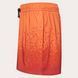 Шорти Oakley Sand Pixel Rc 16" Beachshort 8056153886741 фото 5