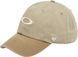 Кепка Oakley Remix Dad Hat 8056153600415 фото