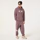 Штани Oakley New Retro Fleece Pants 1.7 8056153781183 фото 2