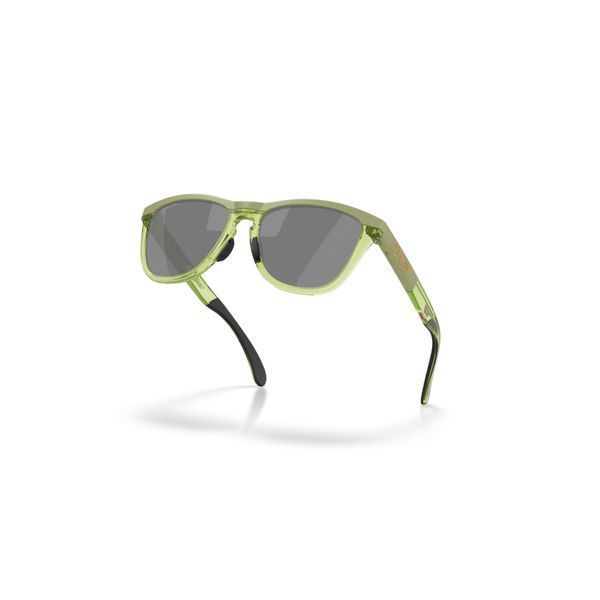 Сонцезахисні окуляри Oakley Frogskins Range XL Matte Fern/Transparent Fern Prizm Black 0888392672186 фото