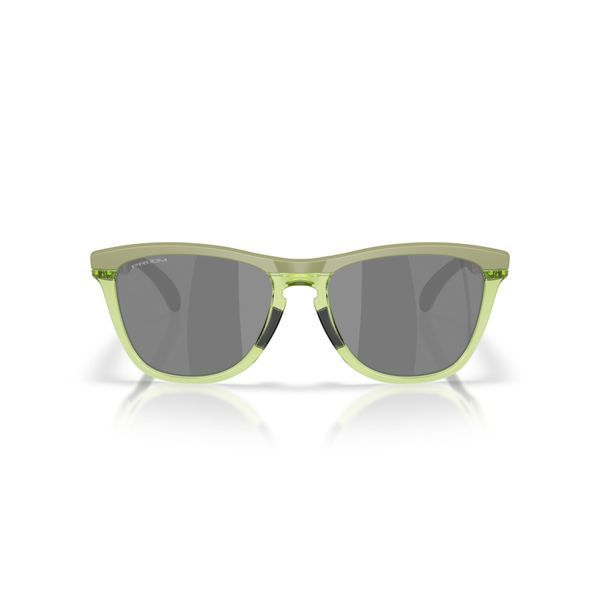 Сонцезахисні окуляри Oakley Frogskins Range XL Matte Fern/Transparent Fern Prizm Black 0888392672186 фото