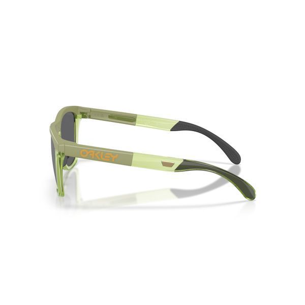 Сонцезахисні окуляри Oakley Frogskins Range XL Matte Fern/Transparent Fern Prizm Black 0888392672186 фото