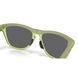 Сонцезахисні окуляри Oakley Frogskins Range XL Matte Fern/Transparent Fern Prizm Black 0888392672186 фото 6