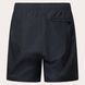 Шорти Oakley Allmighty Shorts 7.0Inch 2.0 8056153932998 фото 9