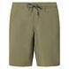 Шорти Oakley Transport Hybrd Packable Short 8056153713436 фото