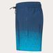Шорти Oakley Sand Pixel Rc 16" Beachshort 8056153595926 фото 3