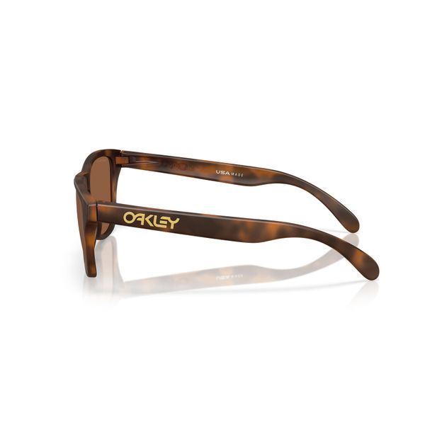 Сонцезахисні окуляри Oakley Frogskins S Matte Tortoise&nbsp;Prizm Tungsten 0888392668721 фото